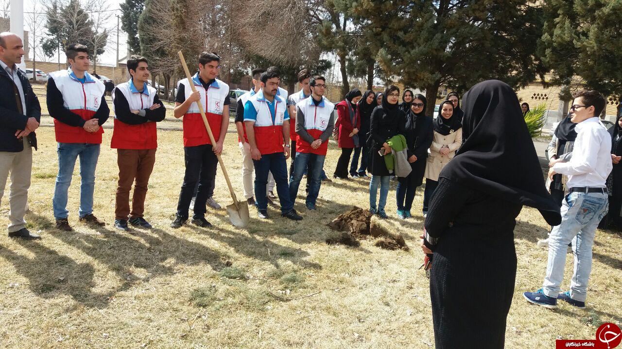 درخت کاری در محوطه دانشگاه + تصاویر