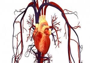 صدور مجوز راه اندازی مرکز تحقیقاتی قلب و عروق