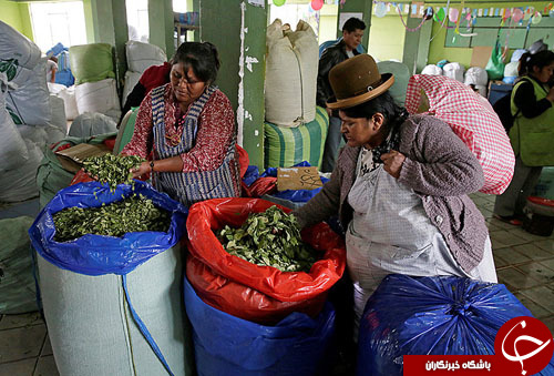 از غافلگیری مهمانان کاخ سفید تا بازدید سران اروپا از کاخ ورسای