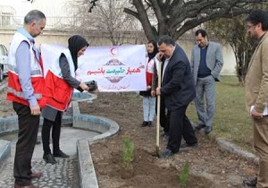 کاشت نهال صلح توسط امدادگران اردبیلی