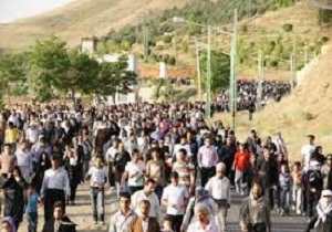 برگزاری همایش پیاده روی و کاشت نهال در میامی