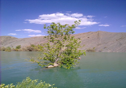 بشاگرد مکانی بکر برای آرامش در بهار