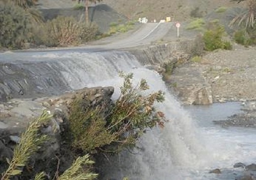 بشاگرد مکانی بکر برای آرامش در بهار