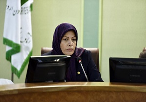 برپایی نمایشگاه بین المللی در توسعه اقتصادی منطقه نقش عمده ای دارد