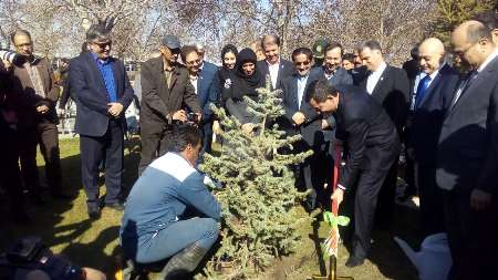 مراسم نمادین کاشت نهال صلح و دوستی میان ایران و کشورهای همسایه در مشهد مراسم نمادین کاشت نهال صلح و دوستی میان ایران و کشورهای همسایه در مشهد