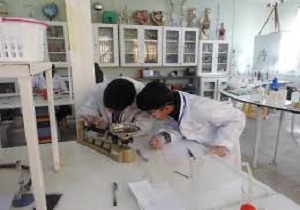 برگزاری جشنواره علوم آزمایشگاهی