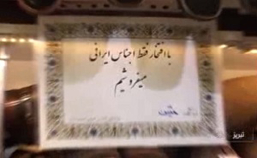 از اقدام به موقع در جلوگیری از ناشنوایی تا احیای هنر اصیل مس&zwnj;گری+فیلم