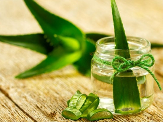 با آلوئه&zwnj;ورا به جنگ سرماخوردگی بروید