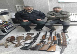 متخلفان شکار پرندگان زیر ذره بین قانون