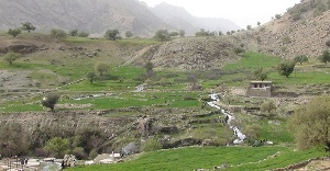 طرح پاكسازي محيط زيست در سه راهی لالی