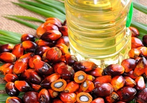 بمب ساعتی «پالم» در سبد غذایی ایرانیان/ پالم و افزایش بیماری قلبی و عروقی