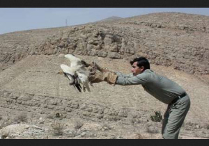 رها سازی سارگپه در میاندوآب