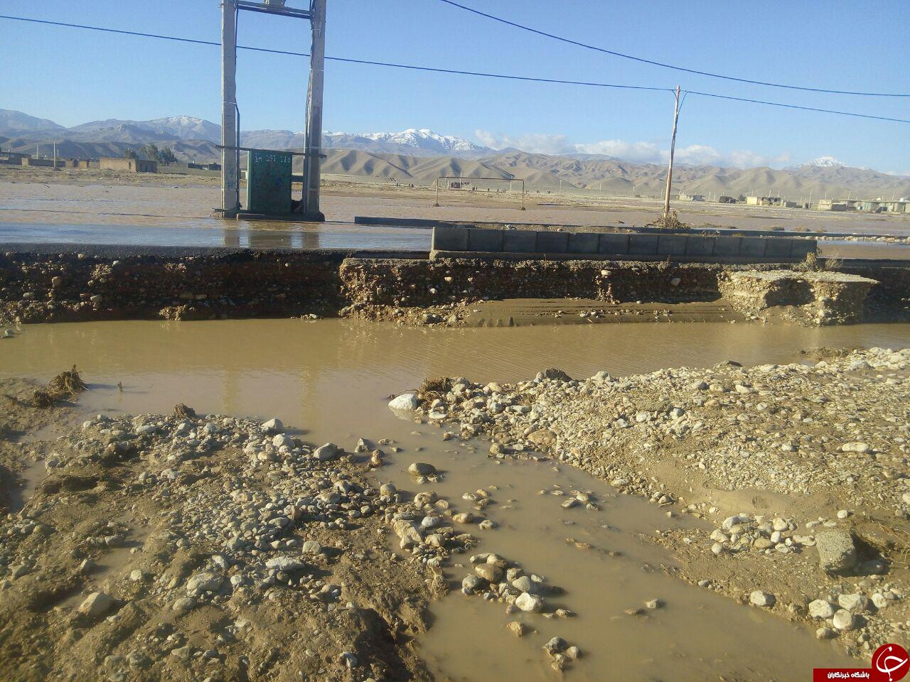 سیل ریزآب خسارت زا شد! + تصاویر
