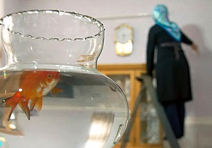 نکات طلایی برای خانه تکانی عید در ۲۸ روز