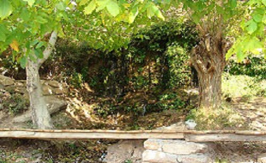 زیباترین جاذبه های گردشگری شهرستان دامغان  +تصاویر