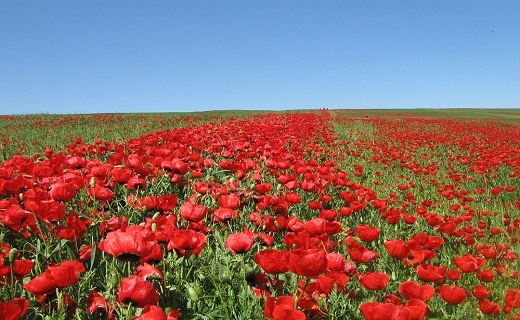سمنان ، نگین کویر ایران آماده پذیرایی از میهمانان نوروزی