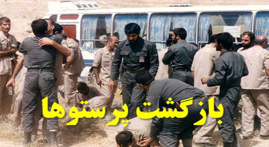 پرستوهایی که به خانه بازگشتند/ شکارچی بزرگ در آسمان امن