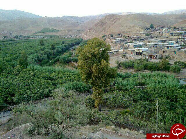 مناظری زیبا از طبیعت &laquo;سرنجه زیودار&raquo; + تصاویر