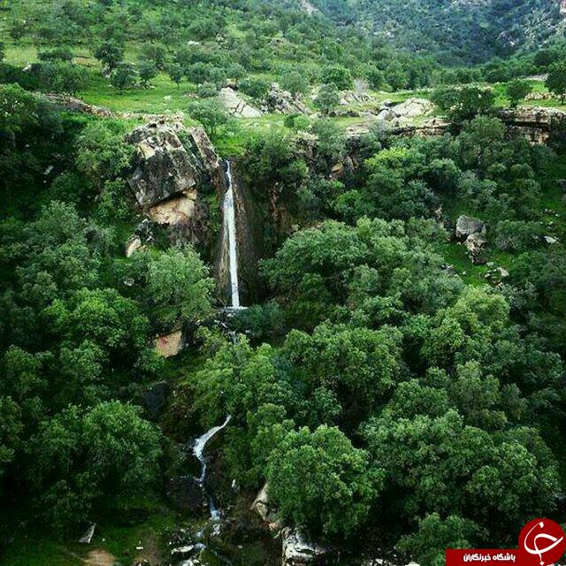 مناظری زیبا از طبیعت &laquo;سرنجه زیودار&raquo; + تصاویر