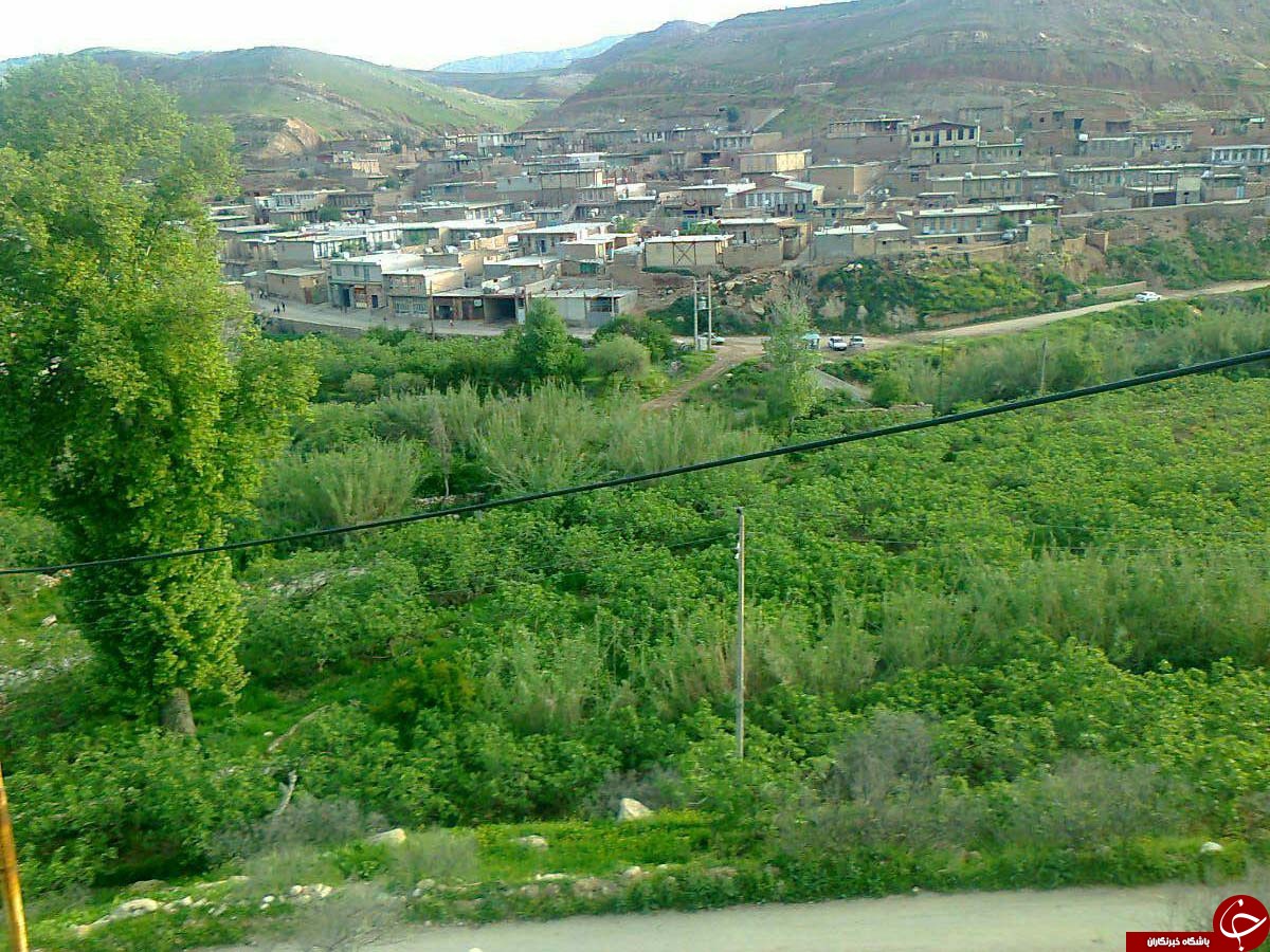 مناظری زیبا از طبیعت &laquo;سرنجه زیودار&raquo; + تصاویر