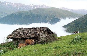 جواهر دشت رودسر