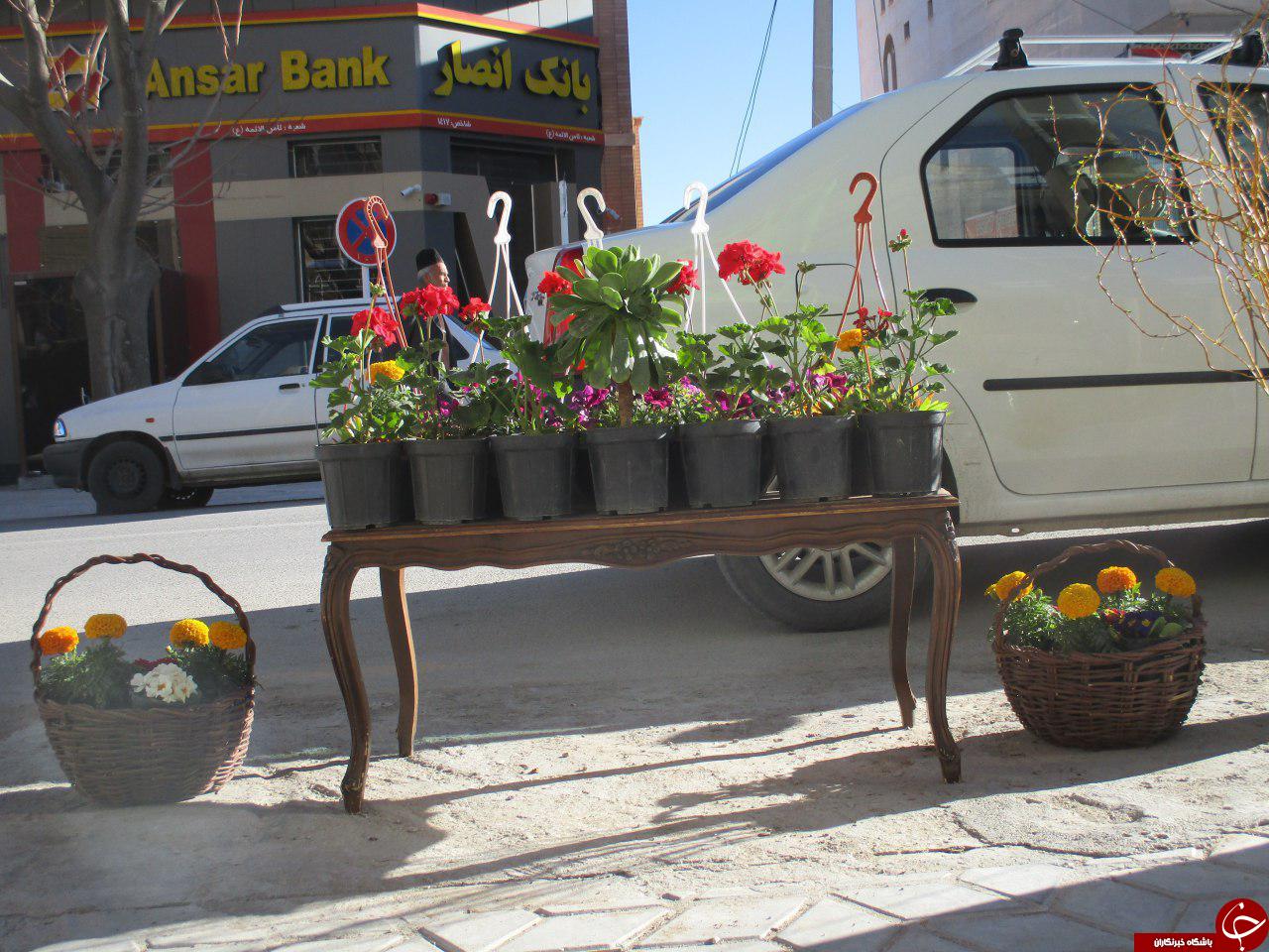 نمایی از ماهی های گلی عید + تصاویر
