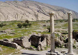 احیاء پوشش گیاهی مجموعه طبیعی تاریخی بیشاپور