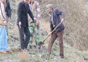 تبرسوزان در گلستان