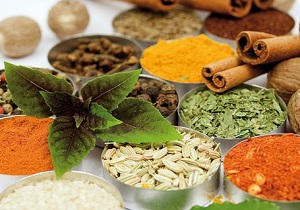 گام بلند شهرستان نطنز به سمت صنعتگری طب سنتی