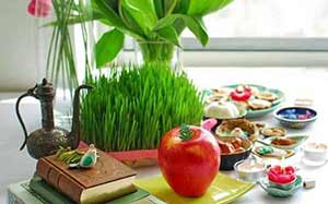شهری که حیوانات آن در لحظه سال تحویل از داخل آینه عبور می&zwnj;کنند