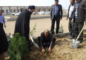 کاشت 1200 اصله درخت در بخش زواره و دهستان برزاوند اردستان