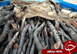 نگاهی گذرا به مهمترین رویدادهای 21 اسفند در مازندران