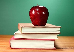 توجه به روند مدیریت مراکز یادگیری محلی سوادآموزان