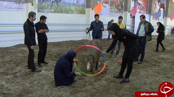 برگزاری نخستین دوره کشوری مربیگری اسب سواری کودکان در مراغه