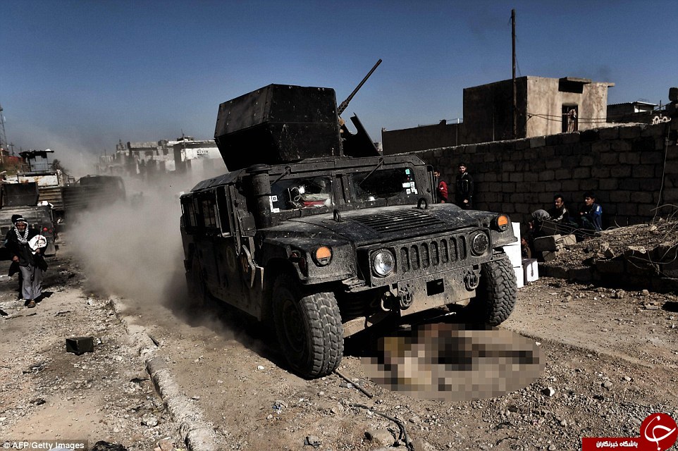 اجساد داعشی&zwnj;ها