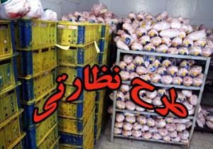 آغاز اجرای طرح نوروزی نظارت دامپزشکی در استان