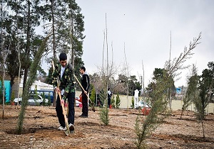 آغاز طرح "کاشت نهال" در اردبیل