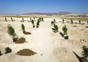 نهالکاری در 27 هکتار از بیابان های شهرستان برخوار آغاز شد