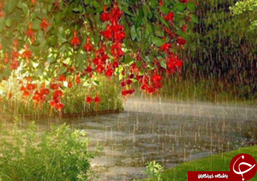 از بارش باران در هفته نخست نوروز تا تولد نوزاد با بیش از 5 کیلوگرم