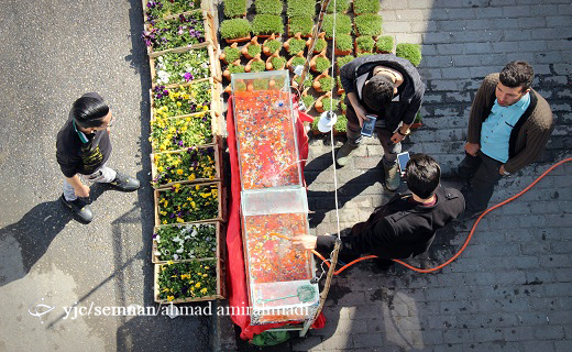 در آستانه بهار + تصاویر