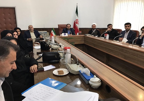 برگزاری کار گروه تخصصی برای کنترل آسیب های اجتماعی