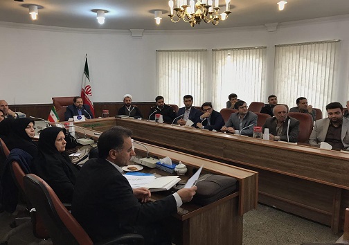برگزاری کار گروه تخصصی برای کنترل آسیب های اجتماعی
