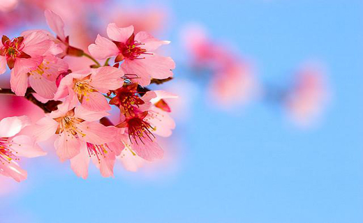 سال نو را چگونه آغاز کنیم/ در سال جدید باید چه کار کنیم/ نوروز مبارک