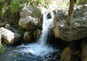 به شهرستان خوش آب و هوای صحنه خوش آمدید