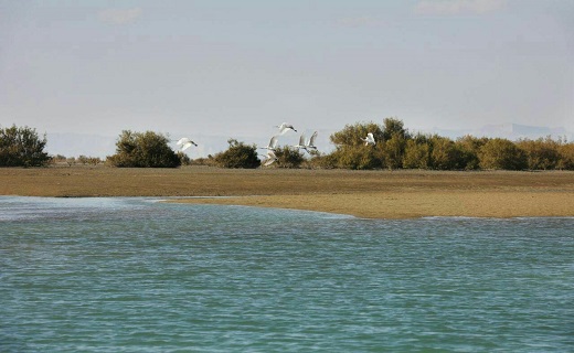 سیستان و بلوچستان مقصد گردشگری ایرانیان/ آمادگی میراث فرهنگی ،صنایع دستی وگردشگری استان/یک هزار 166 کلاس درس پذیرای مهمانان نوروزی