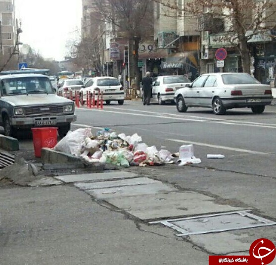 نامرئی شدن سطل زباله در معابر پیروزی! + تصاویر