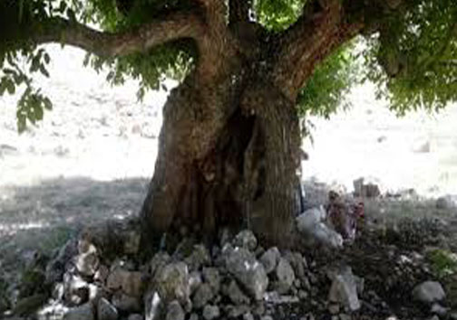 زوارم بهشت گمشده در شیروان