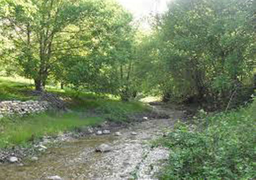 زوارم بهشت گمشده در شیروان