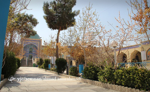 به شکوفه نشستن درختان در آستانه بهار + تصاویر