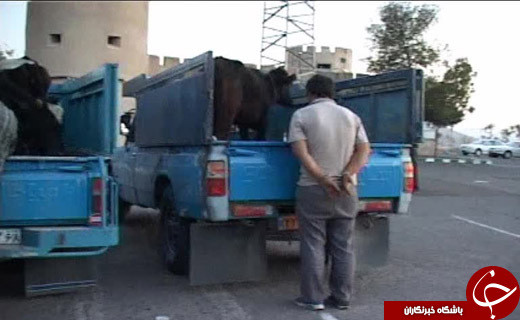 نگاهی گذرا به مهمترین رویدادهای 24 اسفند در مازندران